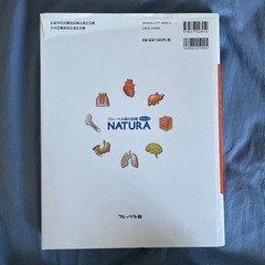ひとのからだの画像