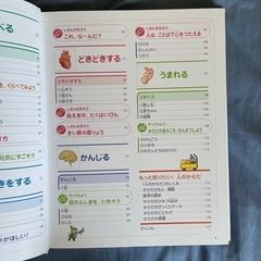 ひとのからだの画像