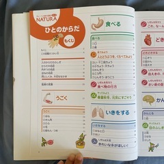 ひとのからだの画像