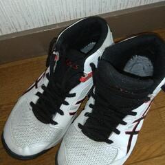【取引中】Dunkshot TBF139 23.5cm バスケッ...