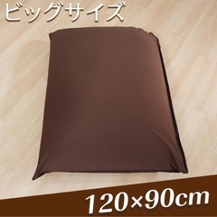 値下げ‼︎【中古】王様もダメになるもちクッション＋替えカバー2枚 の画像