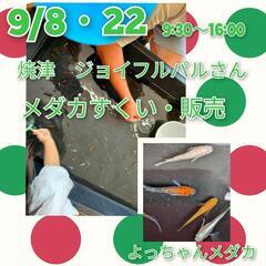 よっちゃんメダカです😊　9月8・22日(日)9:30〜16:00...