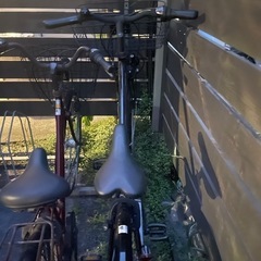 自転車　カゴ付きの画像