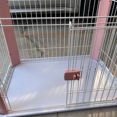 犬用ケージとトイレセット
 カラーサークル ピンク の画像