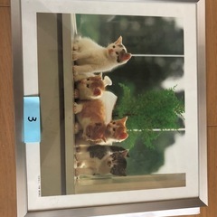 額縁　4枚　使用済みの画像