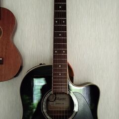 Takamine DMP861C BK  エレアコの画像