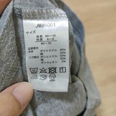 60-70センチロンTの画像