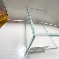 🐠水作🐠ショーベタ🐠コレクションケース Sの画像
