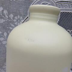 LAVA水素水ボトルの画像