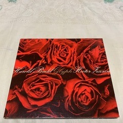 【輸入盤】 Ｇｌｙｐｈ／ＨａｒｏｌｄＢｕｄｄＨｅｃｔｏｒＺａｚｏｕ