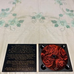 【輸入盤】 Ｇｌｙｐｈ／ＨａｒｏｌｄＢｕｄｄＨｅｃｔｏｒＺａｚｏｕの画像