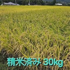 予約受付終了 切えびの産 新米ヒノヒカリ 精米済み30kg