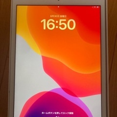 iPad 第7世代 シルバー128GB WiFi 美品 