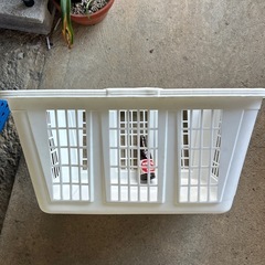 洗濯物やおもちゃ入れなどに❓の画像