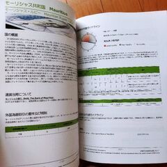 BBH 新興国市場通貨便覧　2017 外国為替専門書の画像