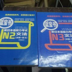蓝宝书•新日本语能力考试N2文法(详解+练习)　蓝宝书•新日本语...
