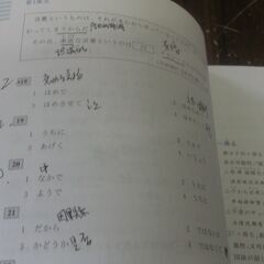 蓝宝书•新日本语能力考试N2文法(详解+练习)　蓝宝书•新日本语能力考试N3文法(详解+练习) 　2冊　書き込みありの画像