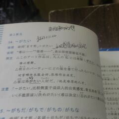 蓝宝书•新日本语能力考试N2文法(详解+练习)　蓝宝书•新日本语能力考试N3文法(详解+练习) 　2冊　書き込みありの画像