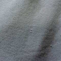 THE NORTH FACE ELCAPITAN TEE　Lサイズ　ホワイト　NT32150　ショートスリーブエルキャピタンティー　カットソー メンズ　ノースフェイスの画像