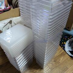 ニジイロクワガタ各種♂♀1ペアセットの画像