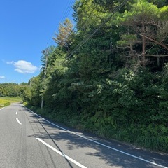 下関市豊田町の山林売却します