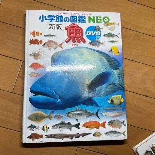 魚図鑑