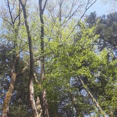 古物商をお持ちの方