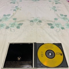 ADVENTURES OF STEVIE Vの画像