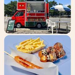 ✨最終値下げ✨服部緑地ウォーターランドのこども(小人用)チケット 2枚600円✨中学生同士も可ですよの画像