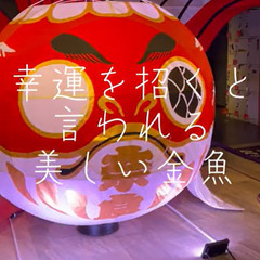 【20〜40代の方注目！】BBQ＆金魚ミュージアム − 奈良県