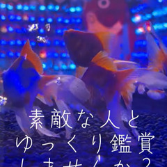 【20〜40代の方注目！】BBQ＆金魚ミュージアム - メンバー募集