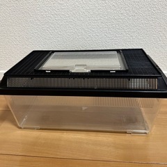 虫カゴ 差し上げます