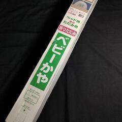 ベビーかやの画像