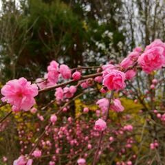 🧡TV取材✨高齢者 障がい 療養の方等のお世話などします！介護資...