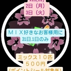 【五桜メダカ】 8月31、9月1.2.3 全品1000円SALE...