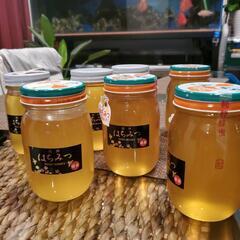 大三島産 生はちみつ 非加熱 600g瓶 蜜柑蜜の画像