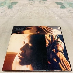 Ｔｈｉｓ Ｎｉｇｈｔ Ｂｅｃｏｍｅｓ Ａ Ｒｕｍｂａ／キップハンラハン