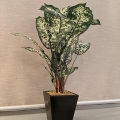 造花観葉植物・ニトリ