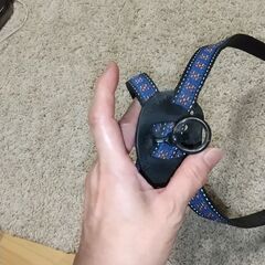 お散歩用胴輪。首輪と１体型。現物確認後、試着後決められてもいいですよ。の画像