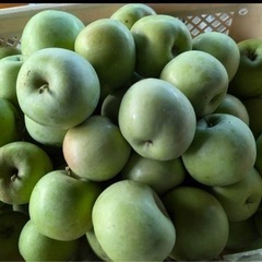 摘果　リンゴ　7キロの画像