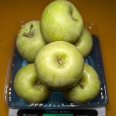摘果　リンゴ　7キロの画像