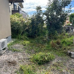 草刈り剪定　家のお片付け - 福岡市
