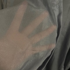 シアーシャツ　レディースの画像