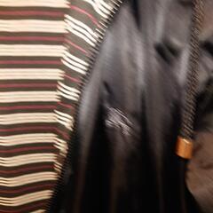 ブランドパーカー(疑惑つき)【決まりそう】の画像