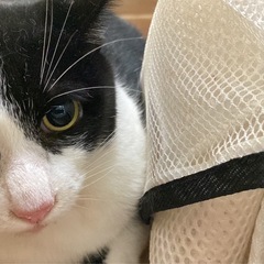 くぅーちゃん（5歳）男の子