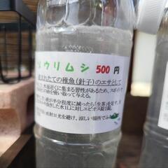 ゾウリムシ(めだかのエサ)　無人販売所　Googleマップ掲載