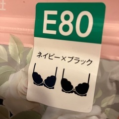レースブラ　E80の画像