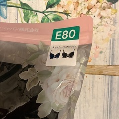 レースブラ　E80の画像