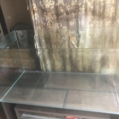 90.45.45cm ガラス水槽の画像