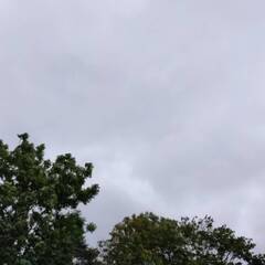雨の日が好きな人はお話しませんか？
